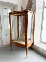 Stiklota Vitrīna ar Bronzas Ormolu — Luī XV/XVI Stils, Francija, 19./20.gs. (727)