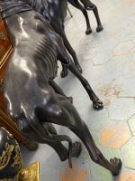Dzīvā izmēra bronzas kurtu suņu skulptūru pāris — Neoklasicisms / Grand Manner tradicija, Eiropa, 20. gs. vidus–otrā puse pēc 18.–19. gs. modeļiem. (5994) - Image 15