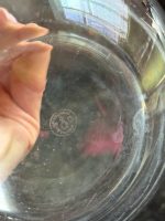 Ekskluzīva zīmola “Baccarat” svina kristāla karafe — baccarat crystal decanter — Francija, 20. gs. vidus (6370) - Image 6