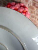 Liela Izmēra Porcelāna Šķīvji Pasteļtoņos, Pieejami 2 gab (5485) - Image 13