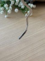sudraba kaklarota (6772) - Image 6