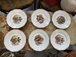 vintage bird theme porcelain plate set