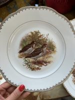 Šķīvji ar Putnu Motīviem, 6gab (vintage bird theme porcelain plate set) — Historisma stilā, (4073) - Image 9