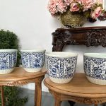 Delft Kašpo, Puķpodi, Vidēja Izmēra, Pieejami 4gab (4734)