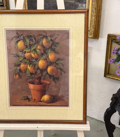 framed still life lemon tree print under glass