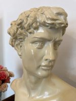 David Biste, Medium Size, Medium Weight (4557) - Image 8