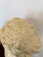 David Biste, Medium Size, Medium Weight (4557) - Image 16