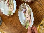 Maza Izmēra Porcelāna Šķīvji, 4gab (4342) - Image 6