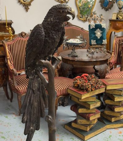 Livagtig bronzepapegøjeskulptur på grenbase - Animalier-tradition, Frankrig