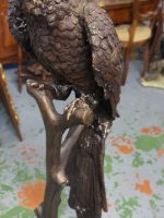Bronzes papegøjefigur i naturlig størrelse på grenfod – Animalier, Frankrig/Europa, midt-sent 20. århundrede efter 19. århundrede modeller - Billede 25