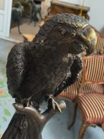 Bronzes papegøjefigur i naturlig størrelse på grenfod – Animalier, Frankrig/Europa, midt-sent 20. århundrede efter 19. århundrede modeller - Billede 12