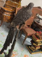 Bronzes papegøjefigur i naturlig størrelse på grenfod – Animalier, Frankrig/Europa, midt-sent 20. århundrede efter 19. århundrede modeller - Billede 18