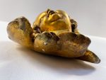 Enkelin pää siivillä – "Putto" / "Testa d'angelo" – Barokki / Uusbarokki, Eurooppa, n - Image 8
