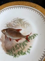 Porcelāna zivju servīze ar zelta apmali — Naturālisma stilā (Limoges Porcelain Fish Service in Naturalism Style) (7060) - Image 13