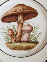 3gab sienas šķīvji, apgleznoti ar sēņu motīviem (7082) - Image 6