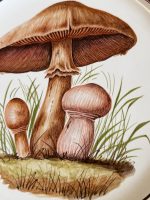 3gab sienas šķīvji, apgleznoti ar sēņu motīviem (7082) - Image 9