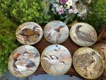Porcelāna Šķīvji ar Putnu Motīviem, 6 gabali (3581)
