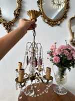 Neliela Izmēra Griestu Lampa ar 4 Spuldzēm, Violeta un Rozā Krāsas Detalizācija (5049)