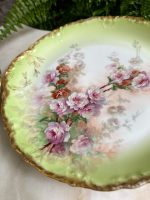 Porcelāna Šķīvji ar Ziedu Motīviem, Vidēji Liela Izmēra (4914) - Image 14