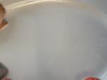 Set of 6 Lobster Plates and 1 Large Serving Platter (6858) - Image 15