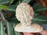 Small Size Bust Figure (4528) - Image 5