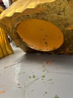 Zelta Krāsas Zemi Podesti, Plastmasa, Vidēji Smagi (4224) - Image 14