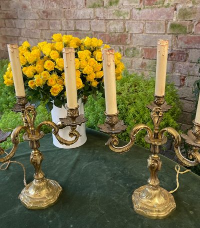 Bordlamper, 2 stk., mellemstore (2752)