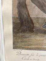 liela izmēra, iestiklotas gravīras ar zirgu motīviem, pieejamas 2gab (5792) - Image 7