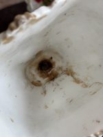 izsmalcināta porcelāna vāze ar ļoti smalku detalizāciju, melnā krāsā ar ziedu motīviem un zelta krāsas akcentiem, vidēja izmēra (6927) - Image 12