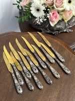 Skaists, Nazīšu Komplekts, 12gab (5330)
