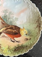 Luxurious Limoges Porcelain Decorative Plate with Bird — Historicism Style, (6713) - Image 3