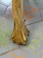 neliels, kafijas galds, gaišā krāsā ar Lauvas ķepām (7026) - Image 8